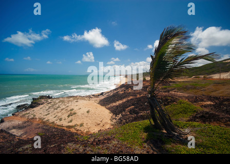 Klippen und Strand von Praia Das Minas in der Nähe von Pipa Brasilien Stockfoto