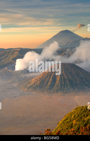Bromo Tengger Semeru Nationalpark, Java, Indonesien Stockfoto