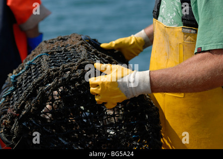 Hummer-Fischer mit einem Lobster Pot, Cardigan Bay, Wales. Stockfoto