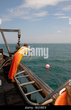 Hummer Fischer werfen einen Schöpfeimer, eine Reihe von Töpfen, Cardigan Bay, Wales abzurufen. Stockfoto