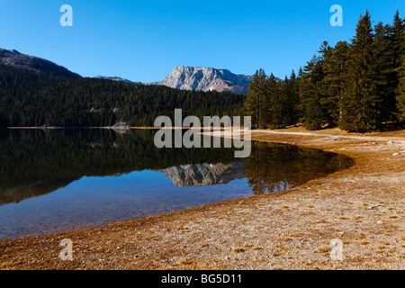 Montenegro, Durmitor National Park, schwarzer See (Crno Jezero) Stockfoto