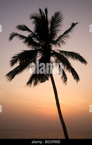 Eine Palme steht Silhouette, wie die Sonne in das Arabische Meer. Die Palme ist eine von vielen Kovalam Strand entlang. Stockfoto