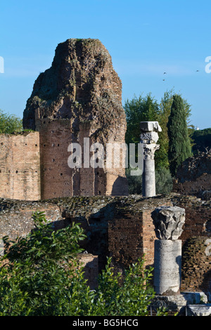 Ruinen auf dem Palatin in Rom. Stockfoto