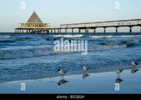 Seebrücke, Strand, Möven, Heringsdorf, Insel Usedom, Mecklenburg-Vorpommern, Deutschland | Pier, Strand, Möwen, Heringsdorf, Stockfoto