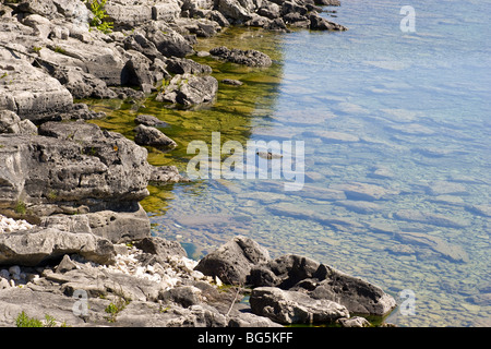 Felsige Küste auf der Bruce-Halbinsel am Georgian Bay, Ontario. Stockfoto