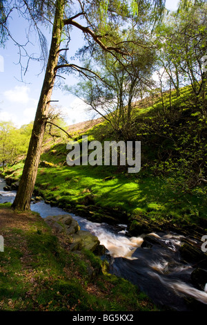 Der Fluß Goyt fließt durch das obere Goyt Tal im Peak District in der Nähe von Buxton in Derbyshire, England Stockfoto