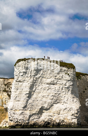 Menschen stehen auf den Klippen bei Handfast, Old Harry Rocks. Küste von Dorset. VEREINIGTES KÖNIGREICH. Stockfoto