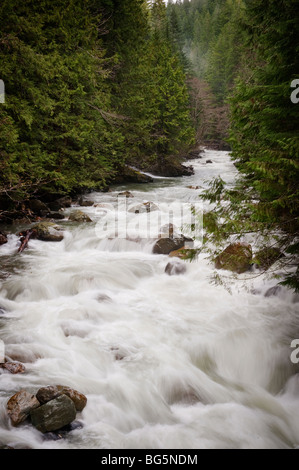 Nooksack Falls wird durch das Gletscherwasser des Mt. Shuksan und fließt Nooksack flussabwärts in Richtung der Puget Sound-Bereich versorgt. Stockfoto