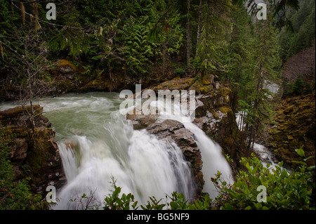 Nooksack Falls wird durch das Gletscherwasser des Mt. Shuksan und fließt Nooksack flussabwärts in Richtung der Puget Sound-Bereich versorgt. Stockfoto