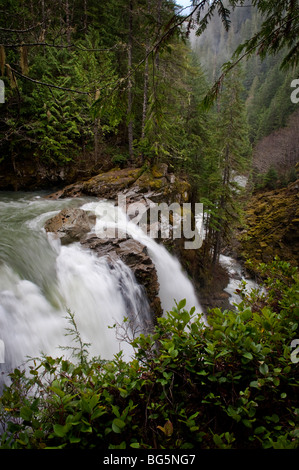 Nooksack Falls wird durch das Gletscherwasser des Mt. Shuksan und fließt Nooksack flussabwärts in Richtung der Puget Sound-Bereich versorgt. Stockfoto