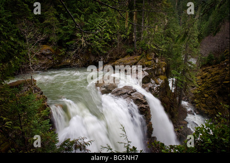 Nooksack Falls wird durch das Gletscherwasser des Mt. Shuksan und fließt Nooksack flussabwärts in Richtung der Puget Sound-Bereich versorgt. Stockfoto