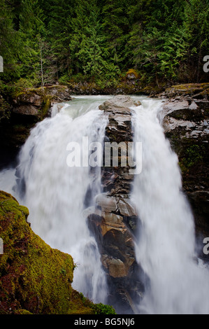 Nooksack Falls wird durch das Gletscherwasser des Mt. Shuksan und fließt Nooksack flussabwärts in Richtung der Puget Sound-Bereich versorgt. Stockfoto