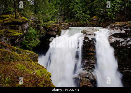 Nooksack Falls wird durch das Gletscherwasser des Mt. Shuksan und fließt Nooksack flussabwärts in Richtung der Puget Sound-Bereich versorgt. Stockfoto