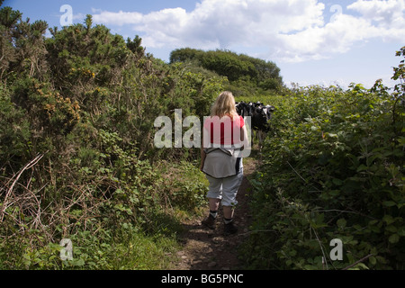 Walker und Kühe an Kingscross Punkt, The Isle of Arran, Schottland, Juni 2009 Stockfoto