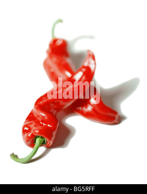 Zwei rote Chilischoten auf weiß Stockfoto