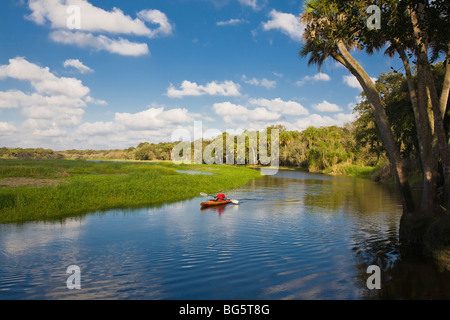 Myakka River im Myakka River State Park Sarasota Florida Stockfoto