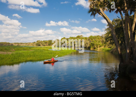 Myakka River im Myakka River State Park Sarasota Florida Stockfoto