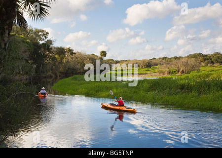 Myakka River im Myakka River State Park Sarasota Florida Stockfoto