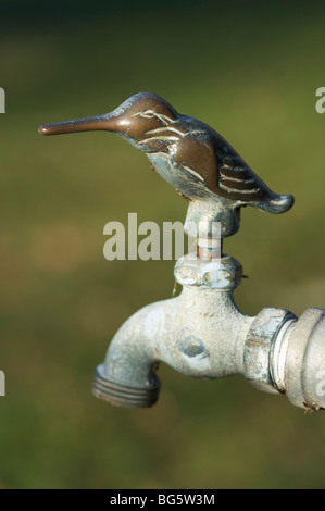 Nahaufnahme von Garten Wasserhahn mit Kolibri als Griff Stockfoto