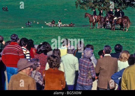 Reiten, Hunde, Fox Jäger. Stockfoto