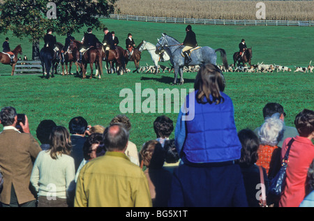 Reiten, Hunde, Fox Jäger. Stockfoto