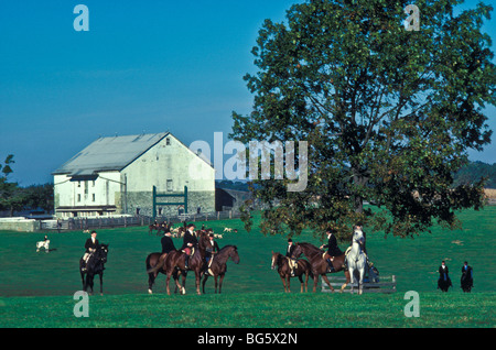 Reiten, Hunde, Fox Jäger. Stockfoto