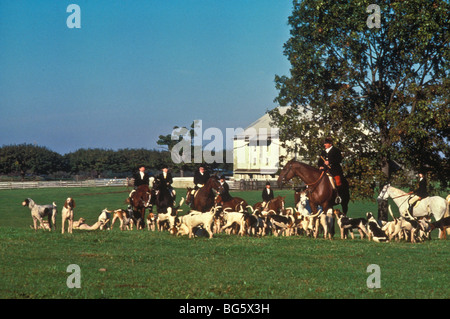 Reiten, Hunde, Fox Jäger. Stockfoto