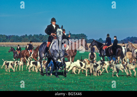 Reiten, Hunde, Fox Jäger. Stockfoto