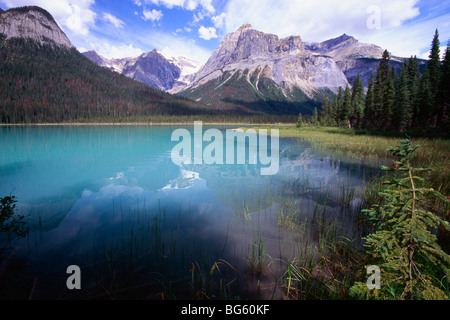 Malerischen Seeufer Ansicht, Emerald Lake, Yoho-Nationalpark, British Columbia, Kanada Stockfoto