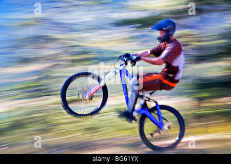 Reiter öffnet einen Wheelie auf Mountain-Bike, Alberta, Kanada Stockfoto