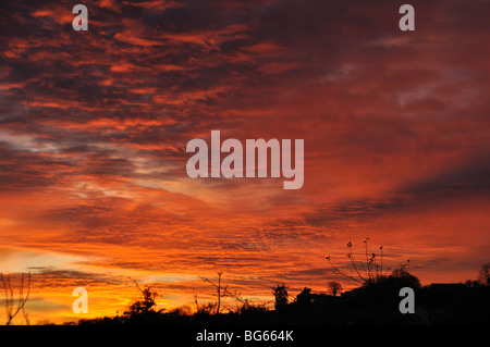 Bunte Wolken bei Sonnenaufgang, St. Dogmaels, Wales, Vereinigtes Königreich Stockfoto