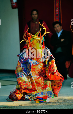 Paris, Fra-nce, Tibetanischer Mönch in traditioneller Kleidung, Aufführen des rituellen Tiermaskentanzes, Buddhistische Zeremonie, Stockfoto