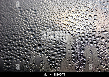 Wassertropfen auf Fenster Stockfoto