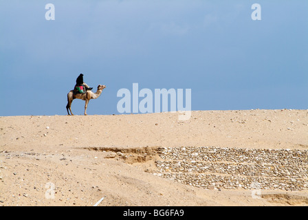 Mann des Militärs auf einem Dromedar Kamel in der Wüste in Ägypten Stockfoto