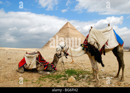 Blick auf die großen Pyramiden von Cheops in Giza, Ägypten Stockfoto