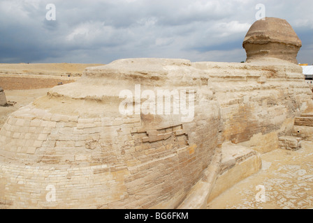 Statue von der großen Sphinx, Plateau von Gizeh, Ägypten Stockfoto