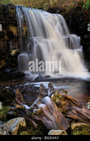 Catrake Kraft am Keld in den Yorkshire Dales. Stockfoto