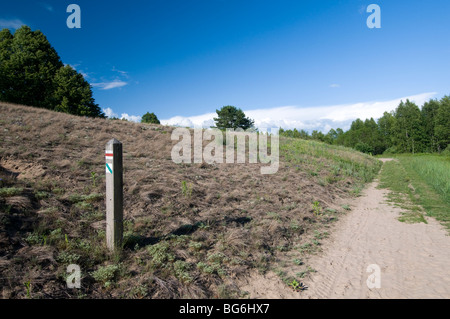 Biebrzanski Nationalpark, Polen Stockfoto