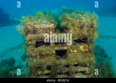 Künstliches Riff in der Larvotto Reserve aus Monaco Stockfoto