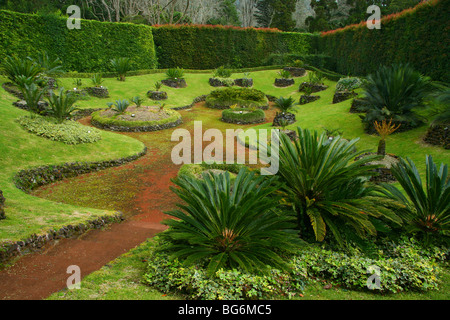 CYCAS-Tal, im Park Terra Nostra. Furnas, Insel Sao Miguel, Azoren, Portugal. Stockfoto