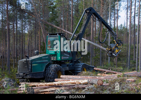 Holzverarbeitende Industrie zeigt Holz / geschlägert von Forstmaschinen / Timberjack Harvester im Pinienwald Stockfoto