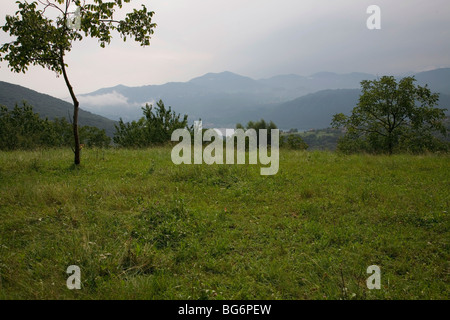 Stürmisches Wetter über ein Meer des Grases, fängt der Lago d ' Orta in der Ferne ein einsamer Baum lange Vordergrund. Stockfoto