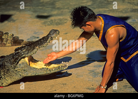 Leistung mit Krokodilen auf Samphran Elefant Boden in der Nähe von Bangkok, Thailand Stockfoto