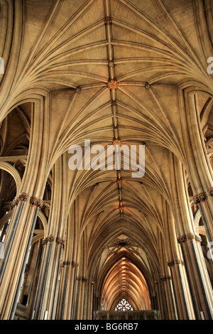 Bristol Kathedrale Voltigieren, England Stockfoto