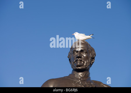 Eine schwarze Leitung Möwe saß auf einer Statue auf dem Trafalgar Square in London, Vereinigtes Königreich. Stockfoto