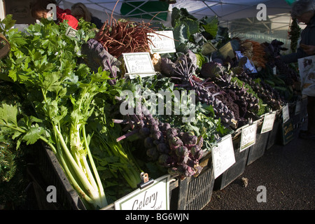 Eine Auswahl an Gemüse zum Verkauf auf einem Marktstand. Stockfoto