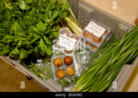 Bio-Produkte für den Verkauf verpackt. Die Box enthält von links nach rechts, Salat und Zitronengras, dann geräuchert, Eiern und Knoblauch. Stockfoto