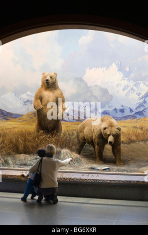 Mutter und Kind eine Wildlife-Diorama im American Museum of Natural History in New York anzeigen Stockfoto