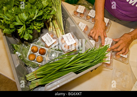 Bio-Produkte für den Verkauf verpackt. Die Box enthält von links nach rechts, Salat und Zitronengras, dann geräuchert, Eiern und Knoblauch. Stockfoto