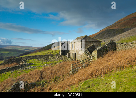 Die Ruinen der Spinner Halle, in der Nähe von Keld, obere Swaledale, Yorkshire Dales National Park, England UK Stockfoto